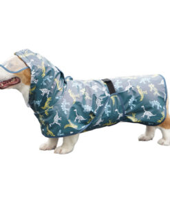 Alternative view of Raincoat