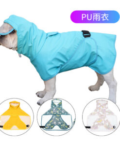Raincoat