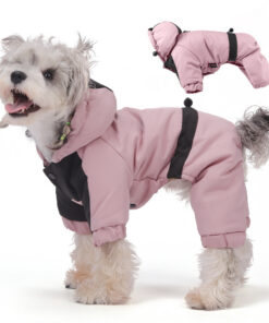 Winter Cold Resistance