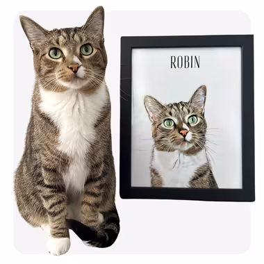 Customized Pet Portraits