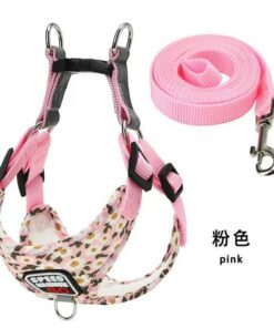 Pet Leashes