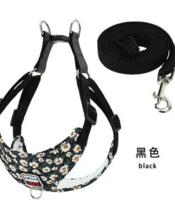 Alternative view of Pet Leashes