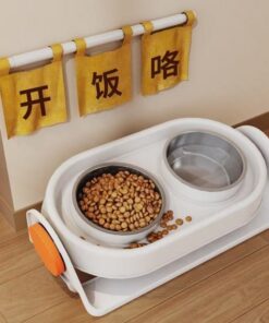 Alternative view of Pet Bowl